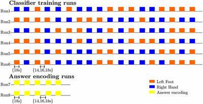 Topographic Somatosensory Imagery for Real-Time fMRI Brain-Computer Interfacing